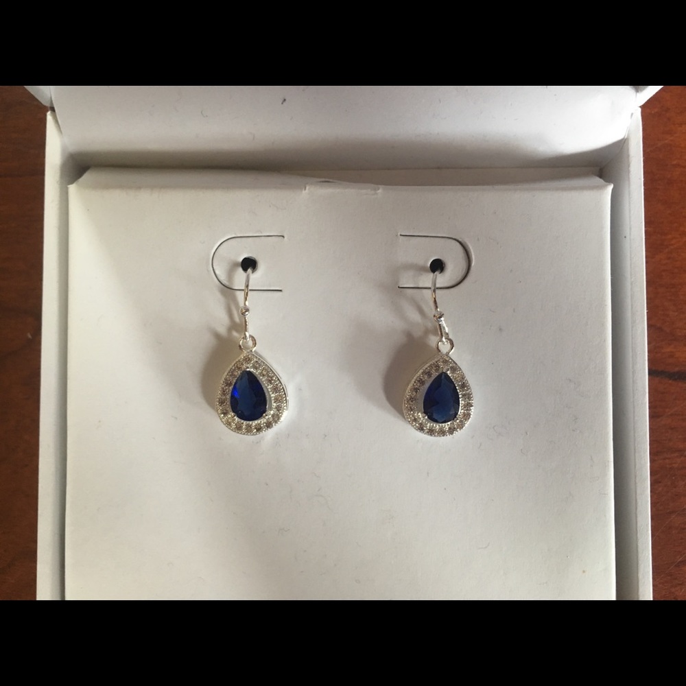 Pure Silver Plated Blue Gemstone Earrings